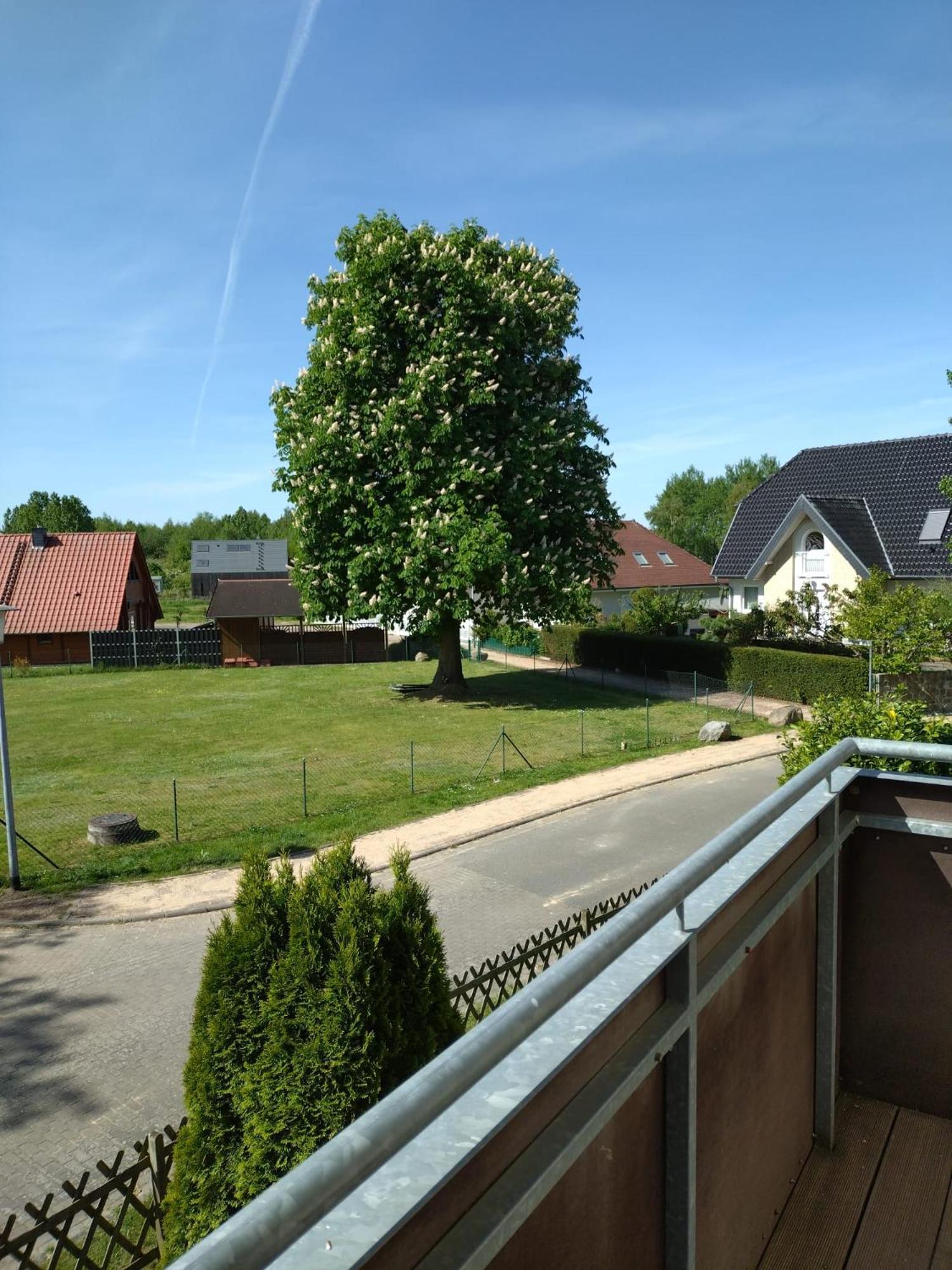 Ferienhaus Rechlin See Eksteriør bilde